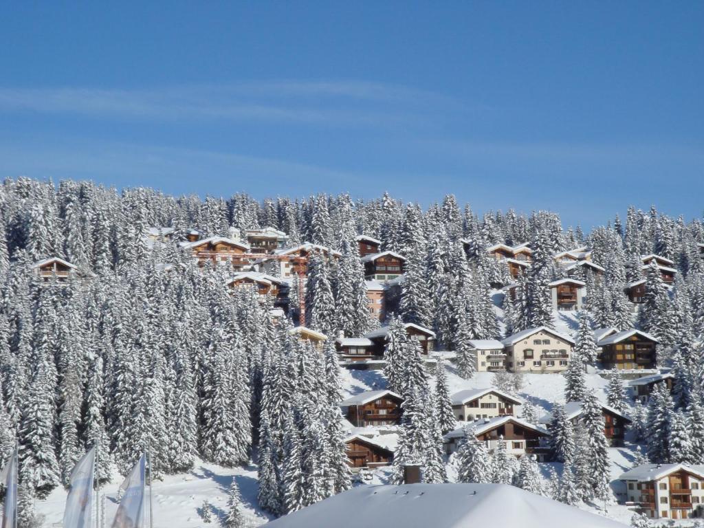 Arosa Vetter Hotel Экстерьер фото